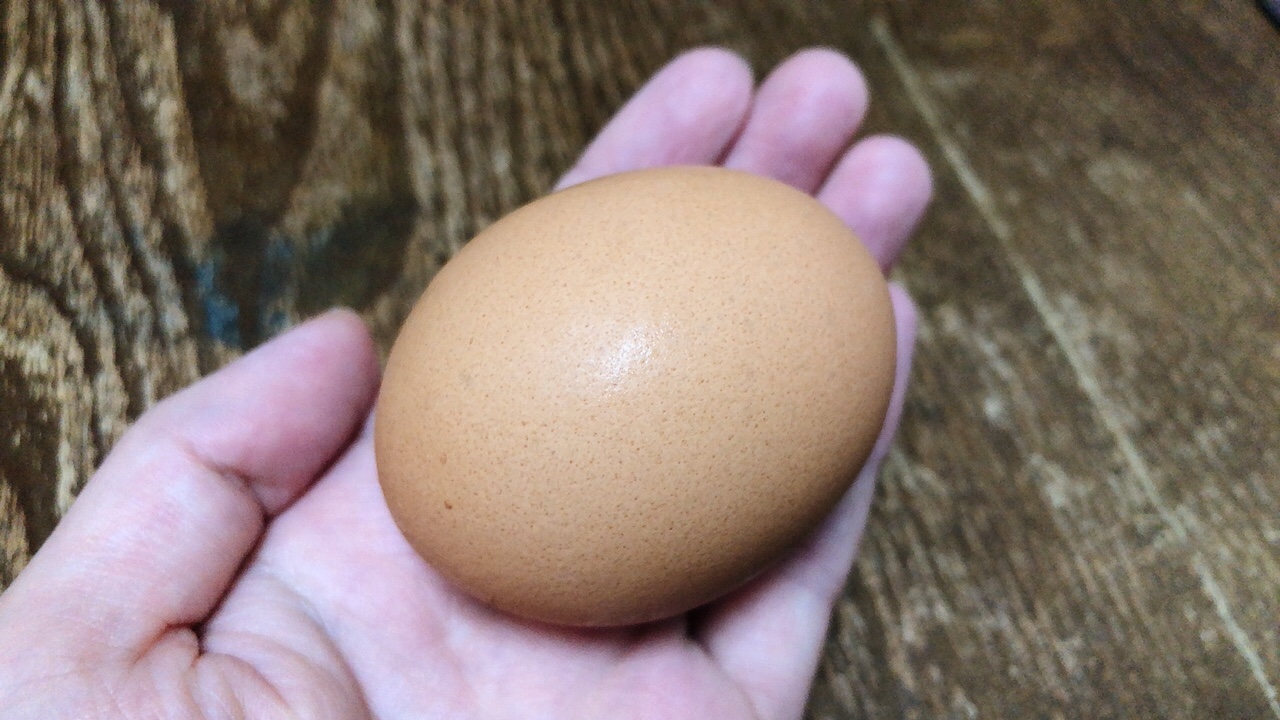 福岡のいちじく畑で育った鶏のブランド卵　かぐやひめ