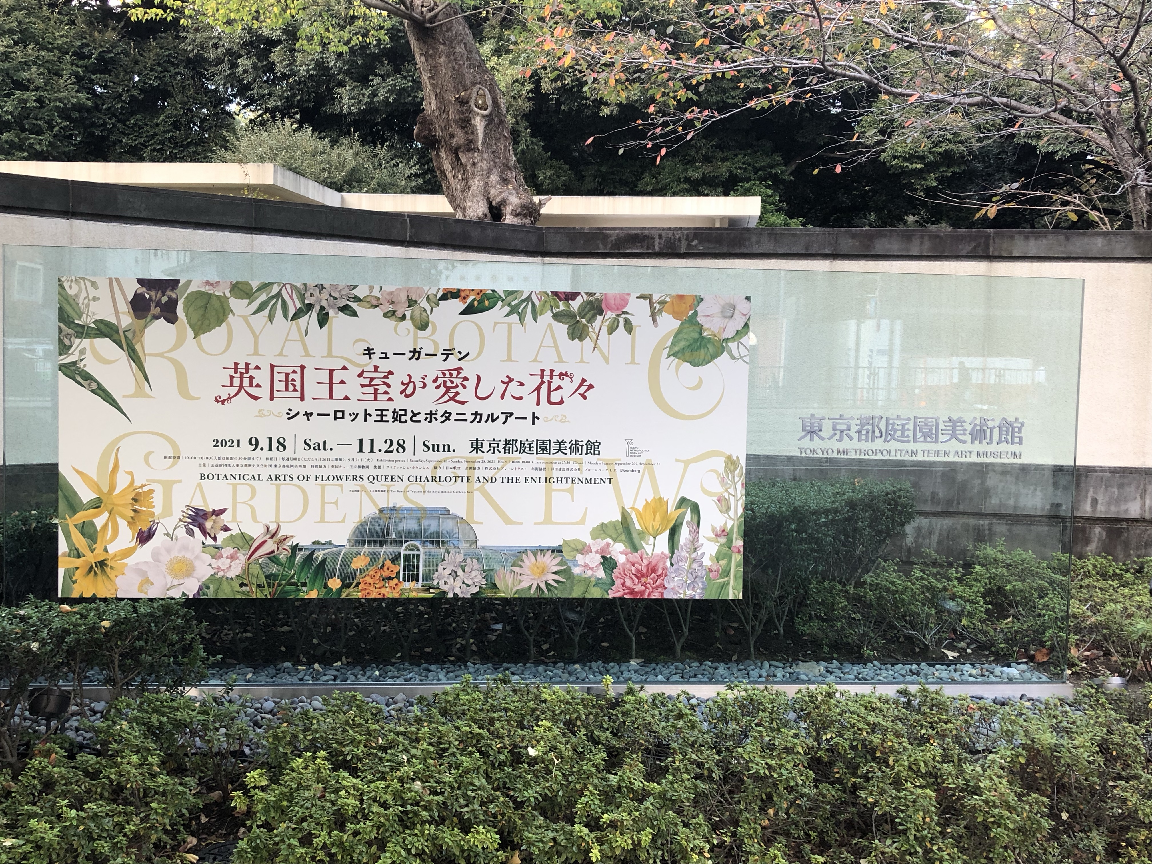 東京都庭園美術館『キューガーデン 英国王室が愛した花々　シャーロット王妃とボタニカルアート』入口
