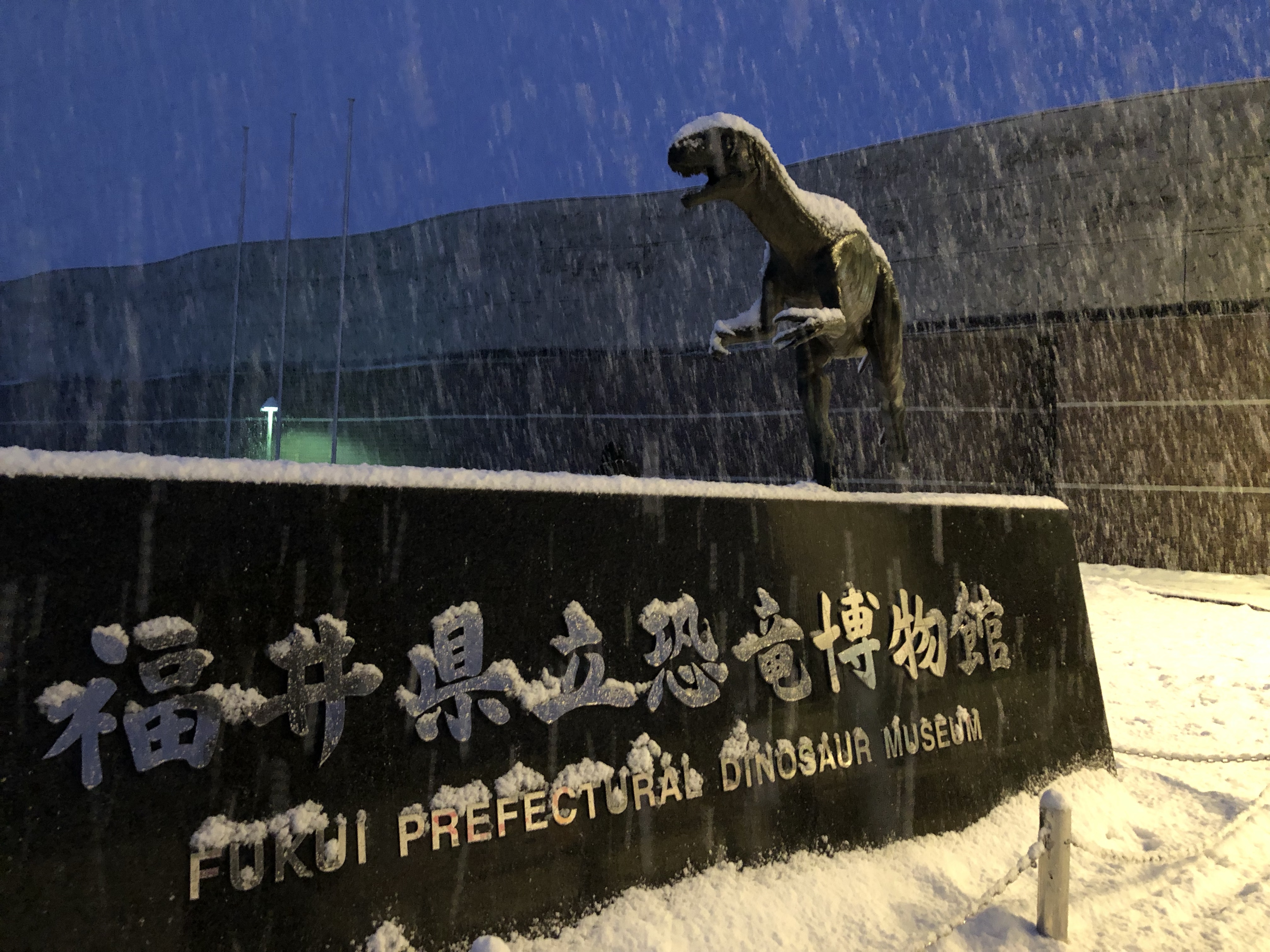 雪の中の福井県立恐竜博物館