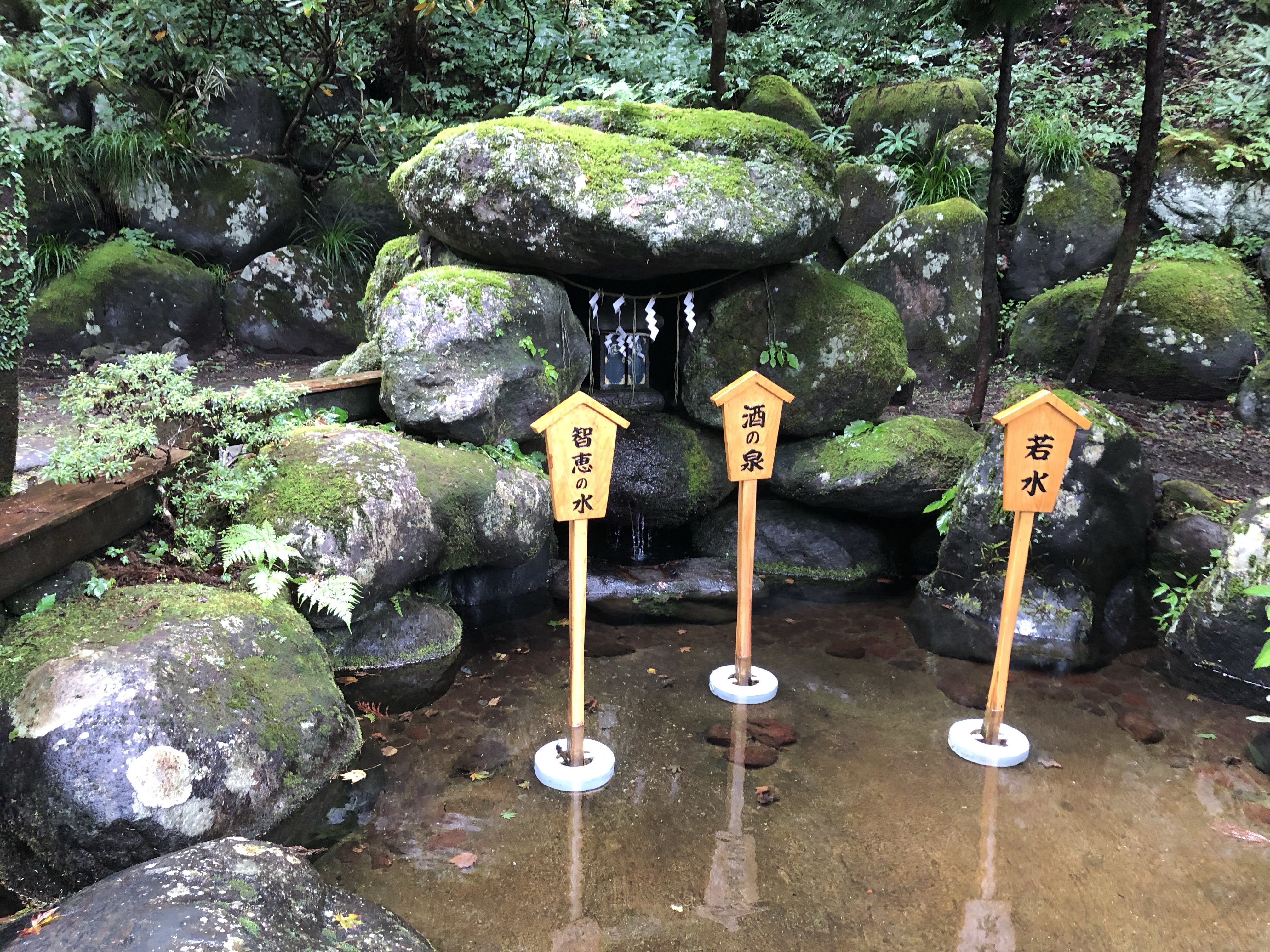 日光二荒山神社・本社神苑の中の若返りの水